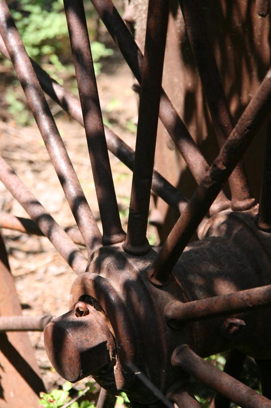 2008 White Family Reunion at Big Rock Candy Mountain, Utah